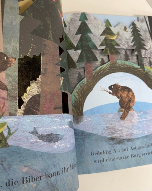 Kinderbuch "Zuhause Wie die Tiere leben"