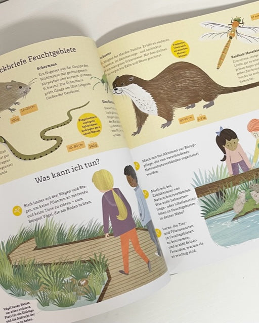 Kinderbuch Sachbuch Wale retten Igeln helfen