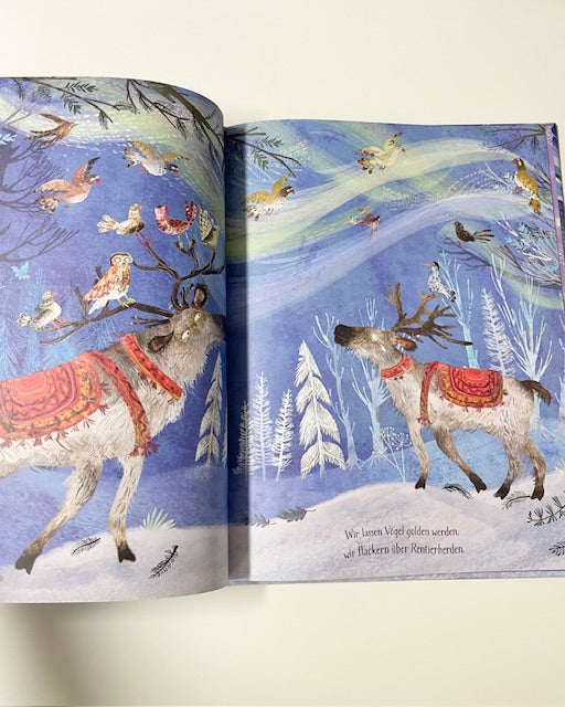 Kinderbuch Das Nordlicht-Wunder