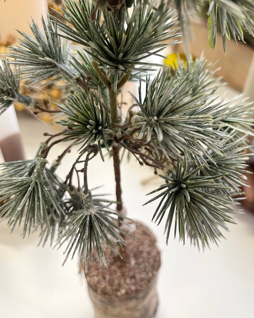 Künstliches Tannenbäumchen – Natürlicher Winterzauber für dein Zuhause